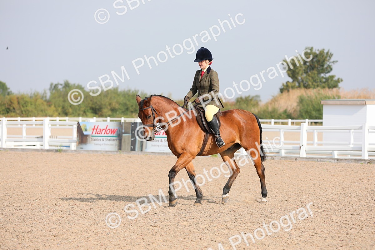 SBM_10909 - Class 304 Ridden Part Bred Horse/Pony