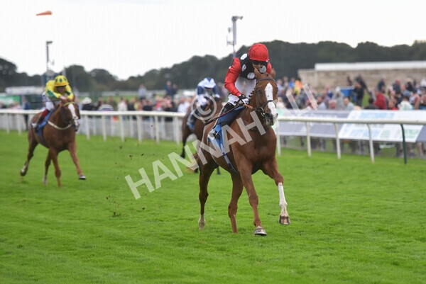 yr24092021r6-32 - Race 6 4.25pm William Hill Pick Your Places Stakes