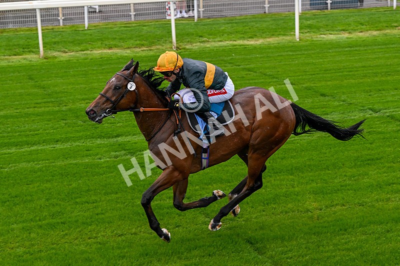 130526-Race 1-Cut A Dash-0062 - Race 1 1.45pm British Stallion Studs EBF Novice Stakes