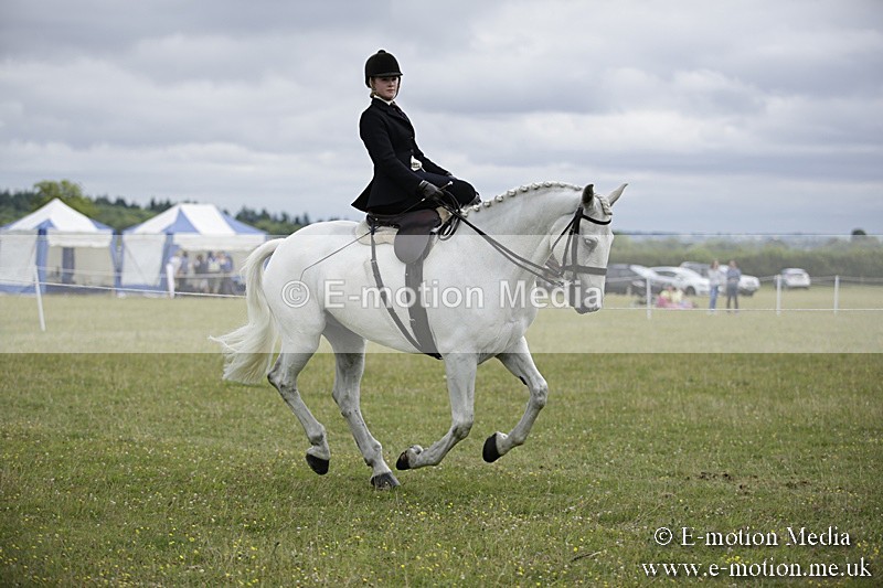 BVR160717-1932 - Side Saddle Classes 16/07/17