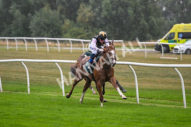 270825-Race 1-The Lost Sock-4464 - Race 1