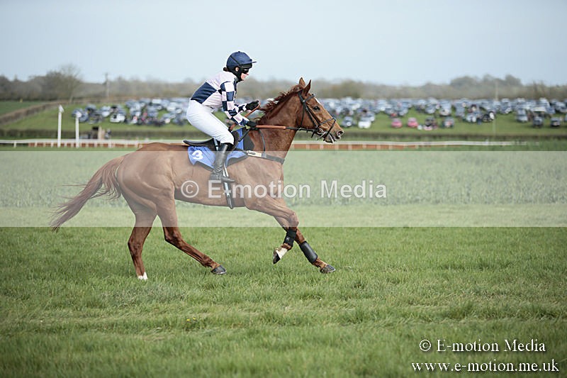 PtP 230319 316 - VWH Hunt Siddington Point-to-Point Racing 23/03/19