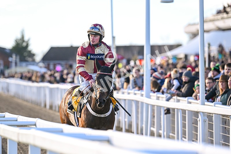 141224-Race 1-Quantock Hills-1161 - Race 1