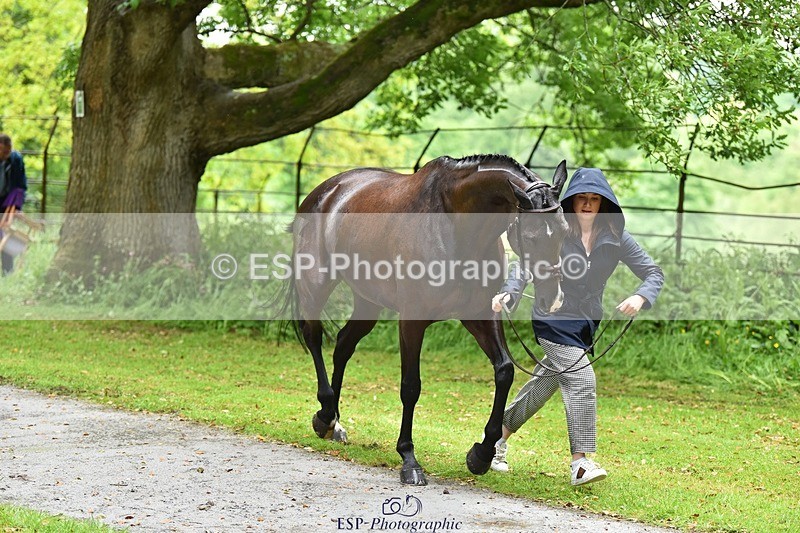 240522-154032-00518 - 353-BIKINI-Rose_De_Montmorency