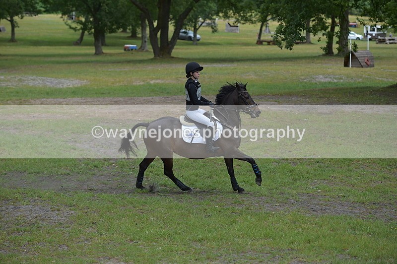 NGP_9219 - Time 12:54 to 1309