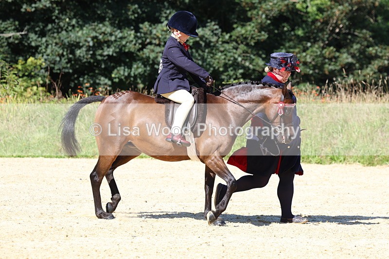 3E7A8047 - Class 15: Lead Rein