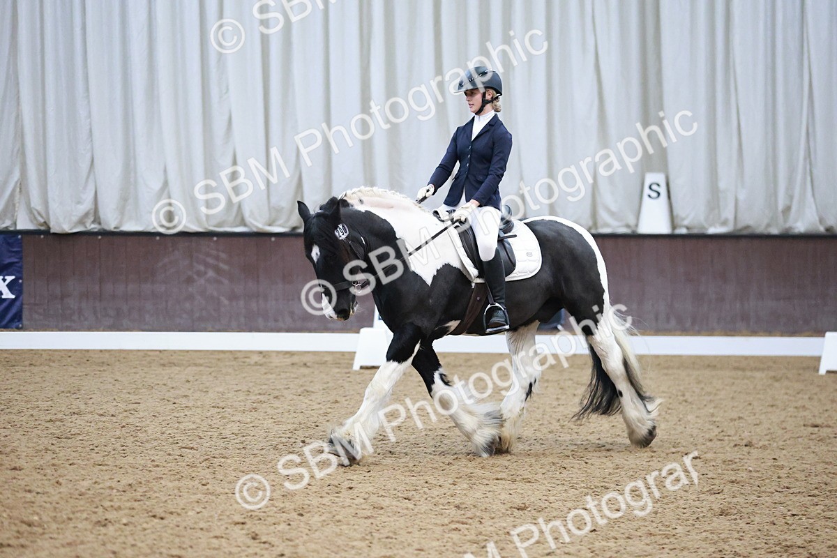 SBM_004570 - Ring 3 - International -  Working Hunter Classes 23-2-25