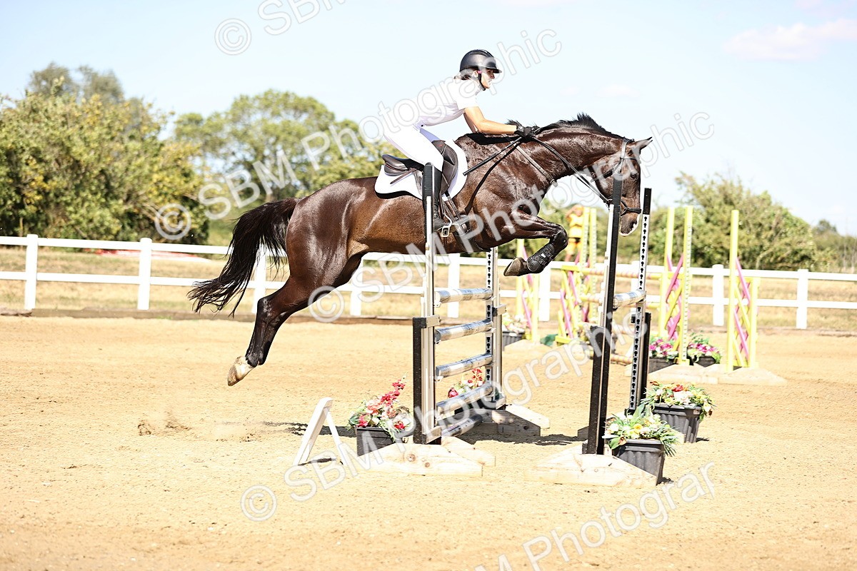 SBM_015447 - Class 16 - Senior foxhunter - 1.20m Open