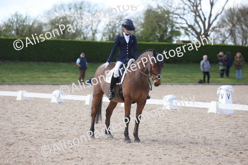 20260405-0901 - Pony FEI