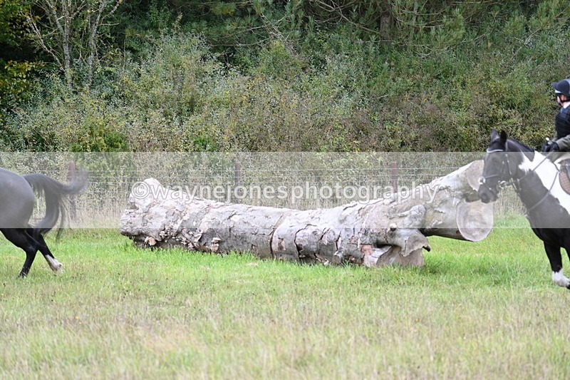 WJ7_3776 - Camera 1 Line 1