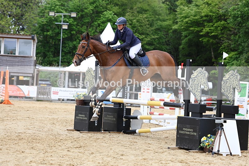 3E7A6311 - Class 4: Senior British Novice/90cm open