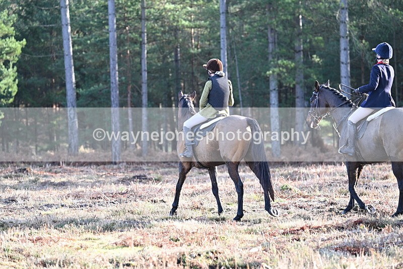 WJ7_7259 - Line 3 (no line 4 or 5)