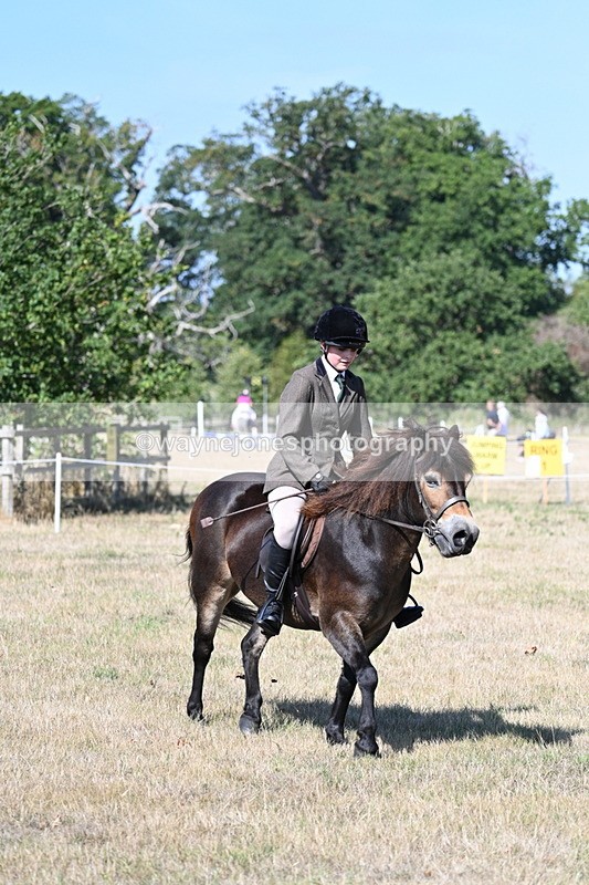 WJ7_3970 - Class 9 Mountain & Moorland Ridden