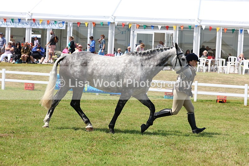 3E7A1683 - Class 9: Open Hunter