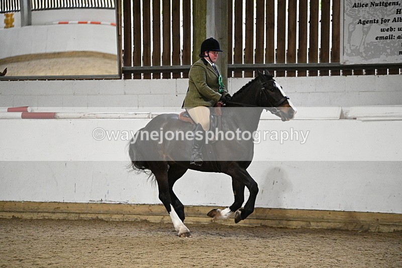 WJ7_4421 - Class 17 Ridden Cob