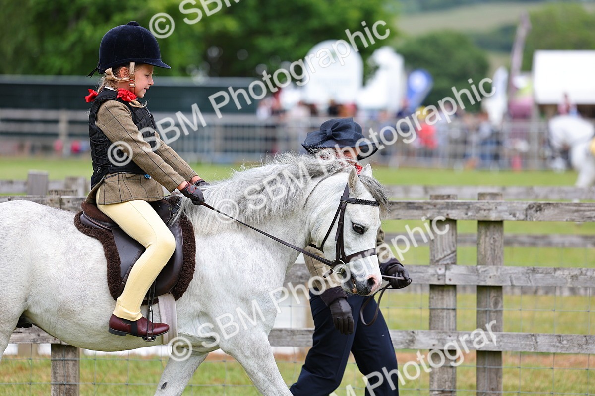 SBM_08068 - Class 42-43 - LIHS BSPS Heritage Working Sports Pony