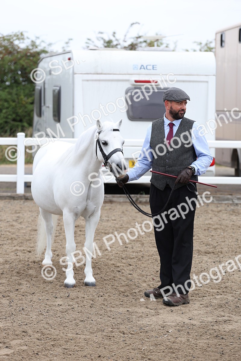 SBM_00076 - Class 50 - Best Turned Out IH