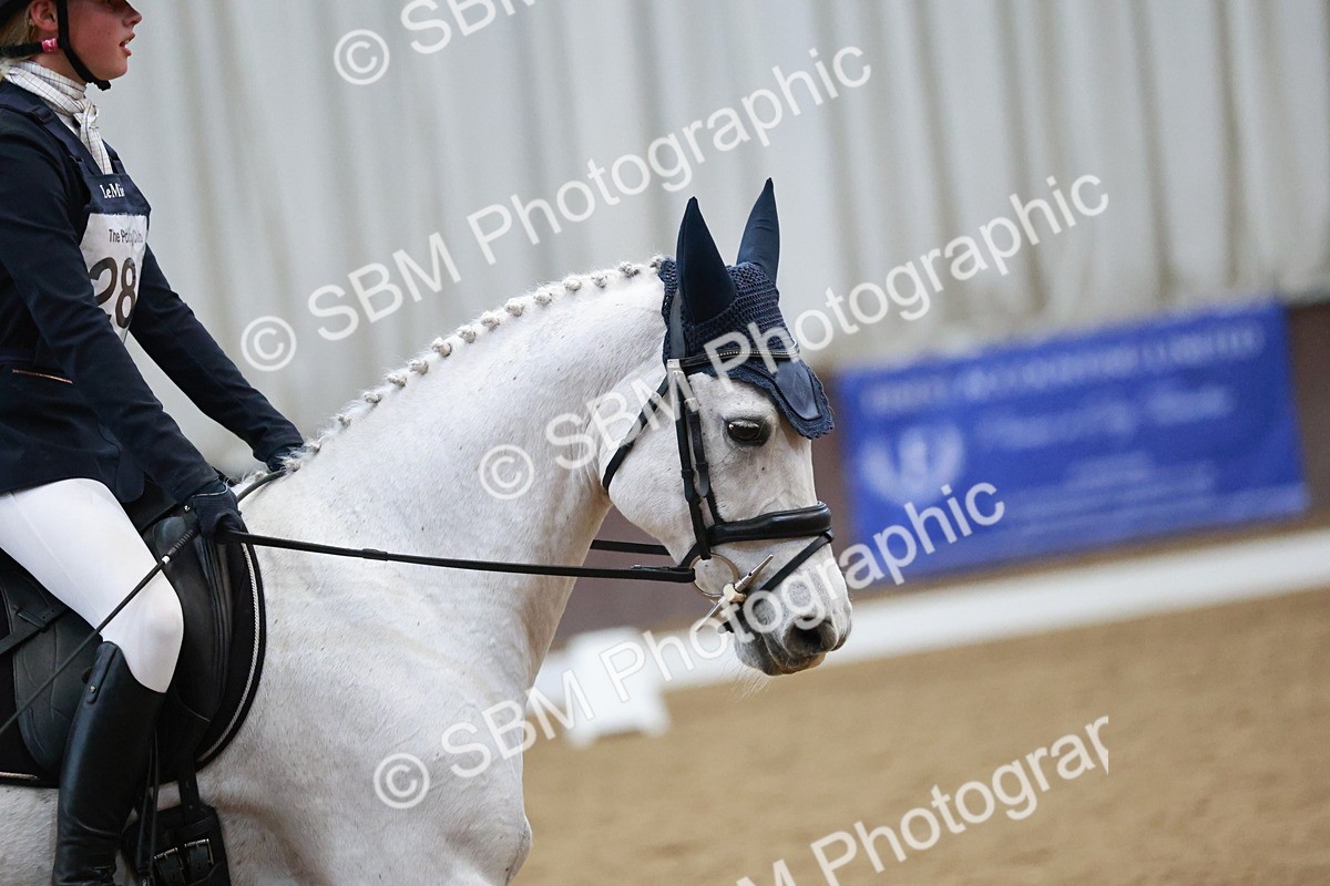 SBM_004602 - Ring 3 - International -  Working Hunter Classes 23-2-25