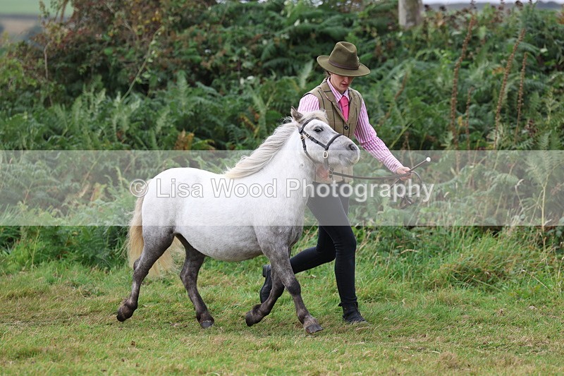 3E7A4387 - Class 15: Three Year Olds