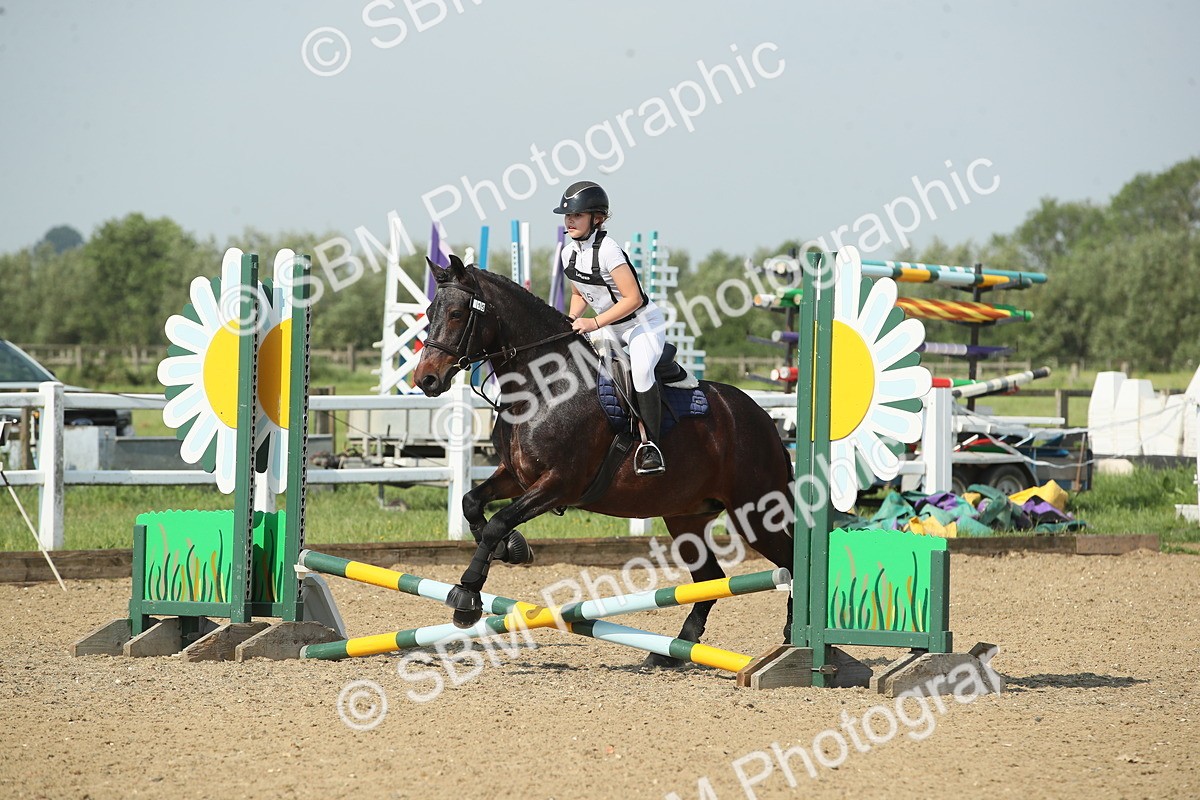 SBM_010739 - 50cm