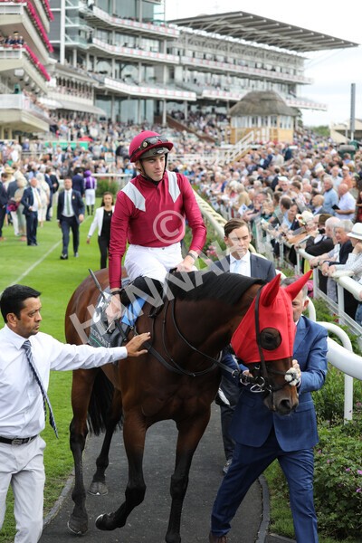 yr17082022r4-35 - Race 4 3.35pm Juddmonte International Stakes (British Champions Series Race)