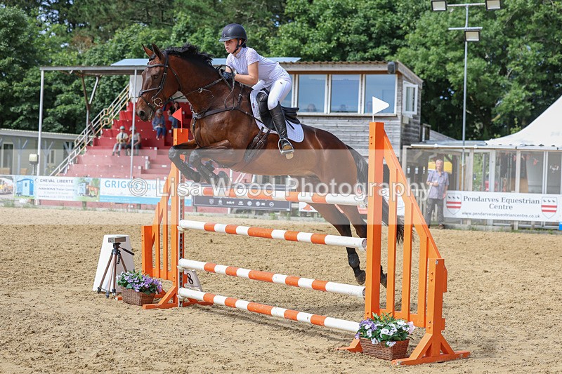 3E7A7522 - Class 9: Senior Foxhunter/1.20 open