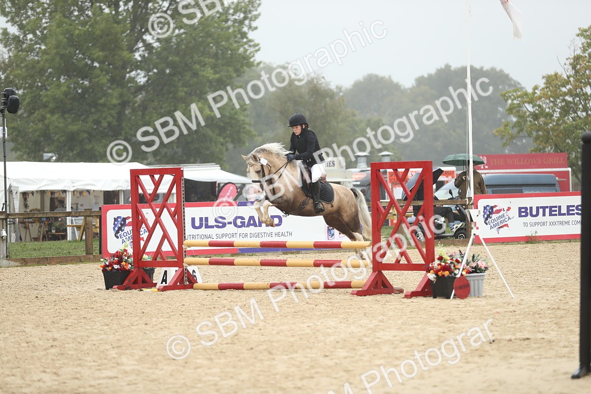 SBM_73822 - J16 - Junior Pony 75cm Championship