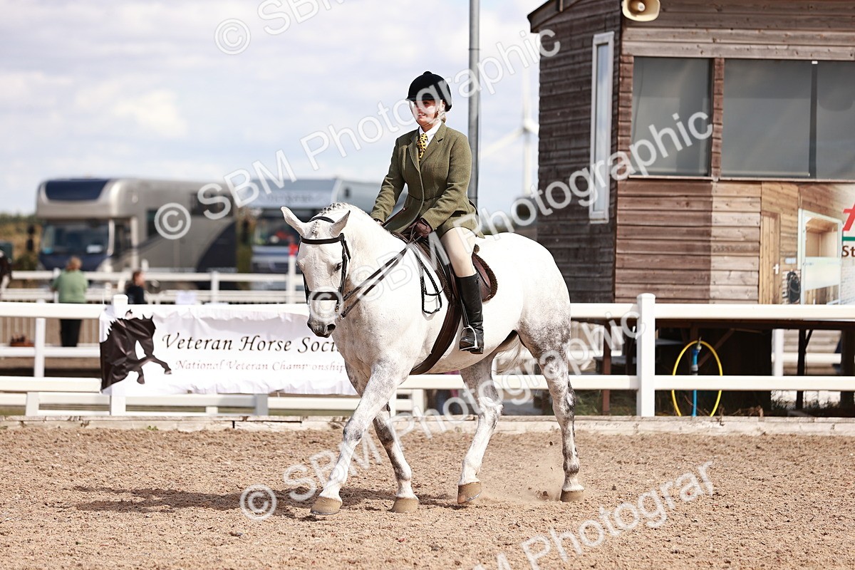 SBM_14450 - Class 410 - Grassroots Ridden - Horse
