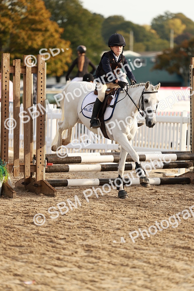 SBM_55494 - J11 - Junior Pony 50cm Championship