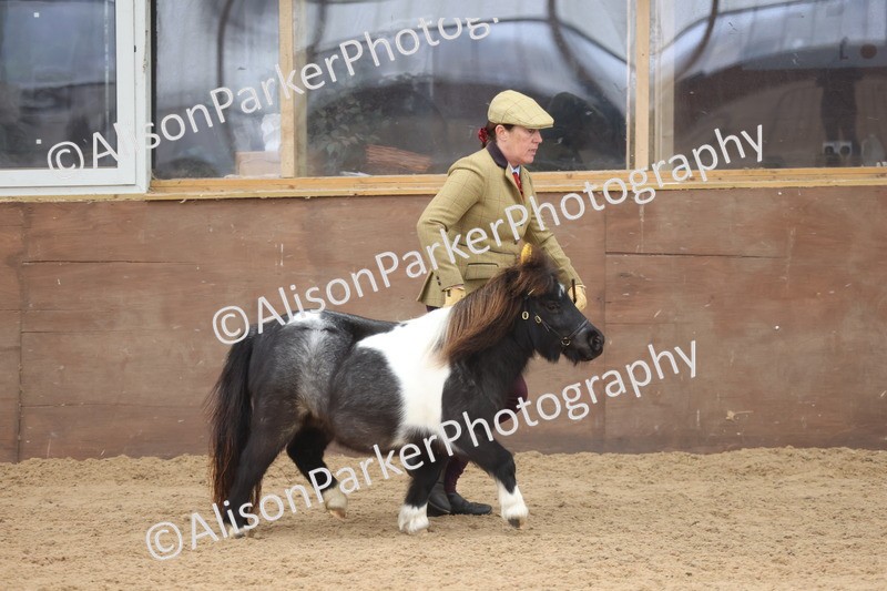 20251109-0270 - Class 11 - 2 and 3 Year Old