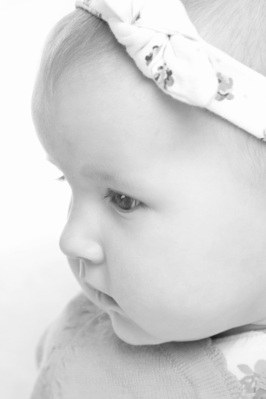 IMG_6531 - Portraits