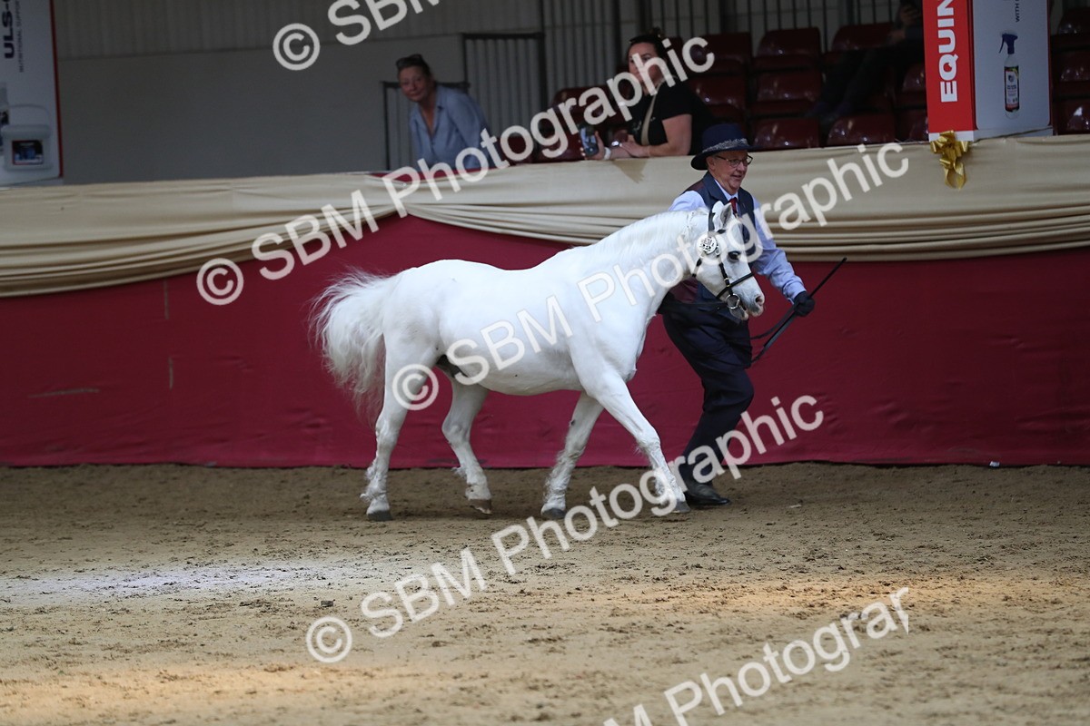 SBM_04936 - Class 8R- Regional -IH Veteran