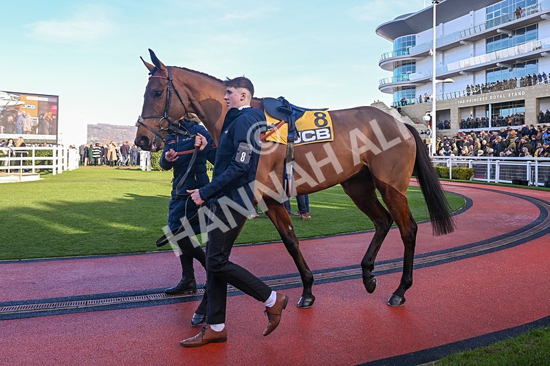 250125-Race 2-Mambonumberfive-3109 - Race 2