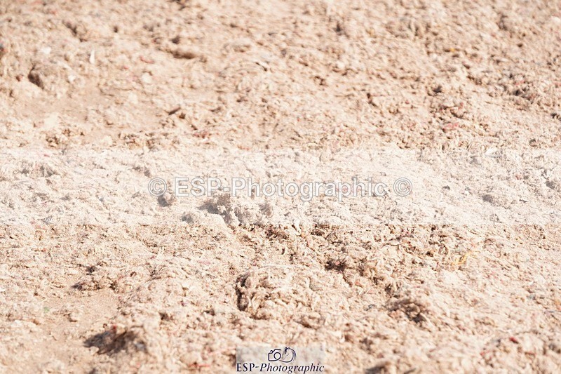 250510-100222-10194 - Cls 14 Snr 1.20m Open