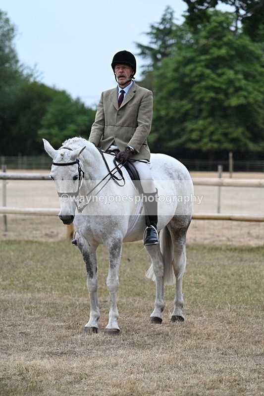 WJ7_0790 - Class 7 Riding Club Show Horse