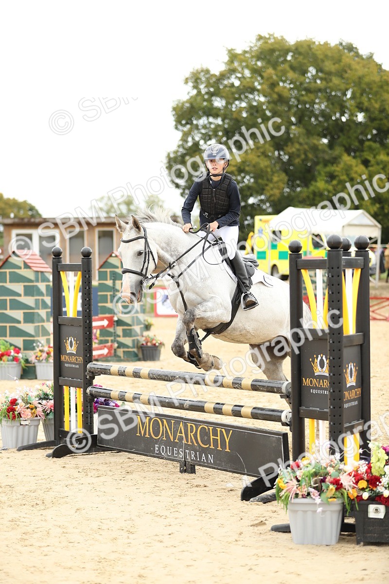 SBM_63133 - Supreme championship 75cm 80cm