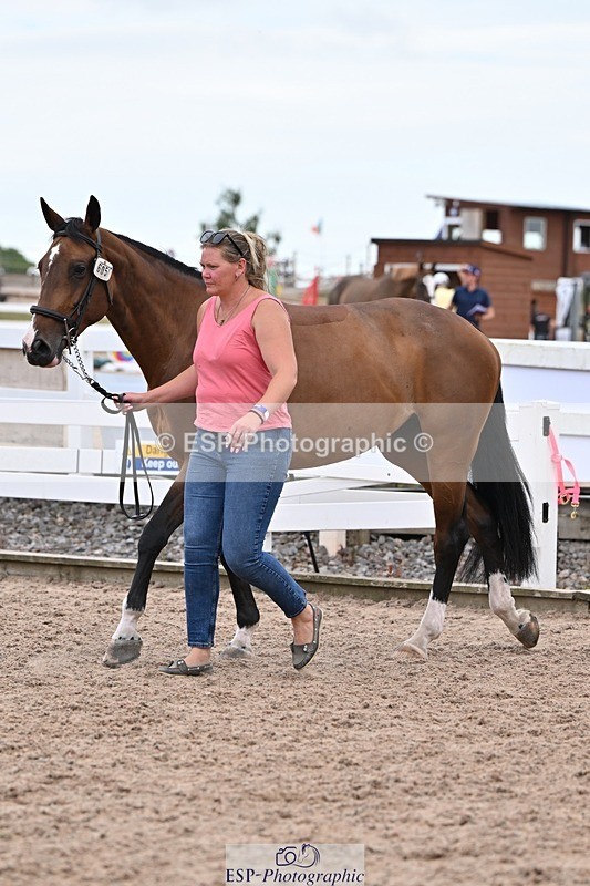 250716-141422-00984 - Trot Up 1.30 to 2.30