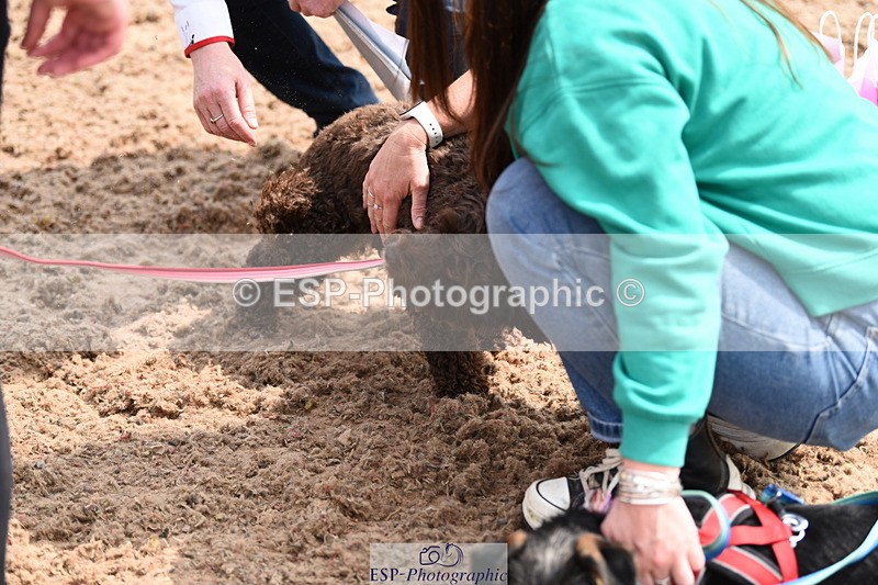 240518A-114728-00827 - Cls 2 Prettist Bitch