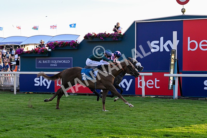 240726-Race 6-Explosive Finnish-5617 - Race 6 20.25pm Sky Bet Go-Racing-In-Yorkshire Summer Festival Handicap