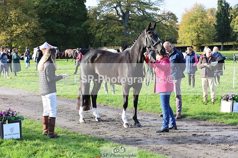 251026A-095318-22554 - D-315-Georgina.Marks