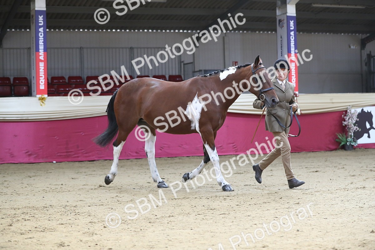 SBM_01309 - Class 3a Area IH Pre Vet