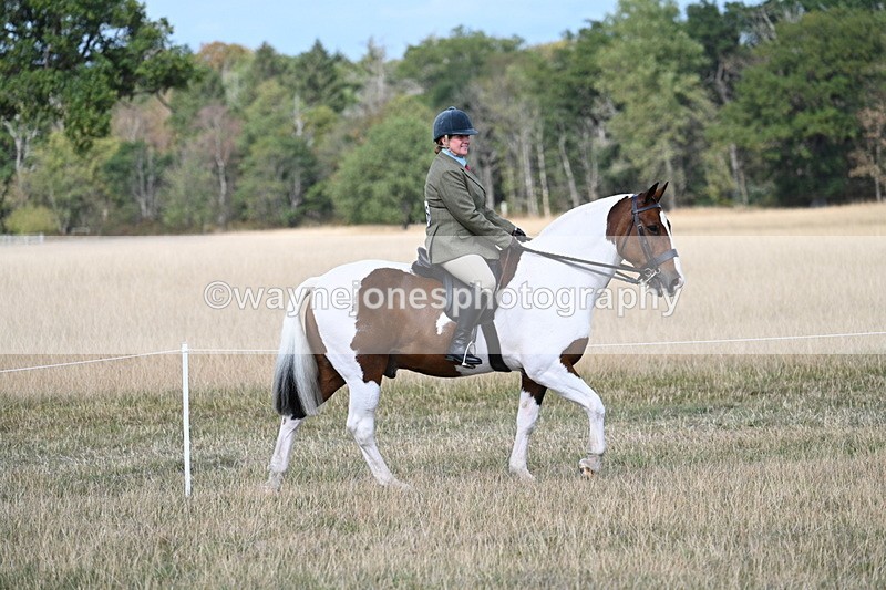 WJ7_6675 - Class 14 Ridden Coloured