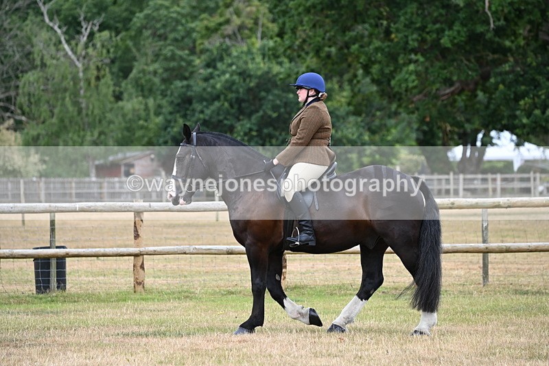 WJ6_3778 - Class 9 Tack & Turnout