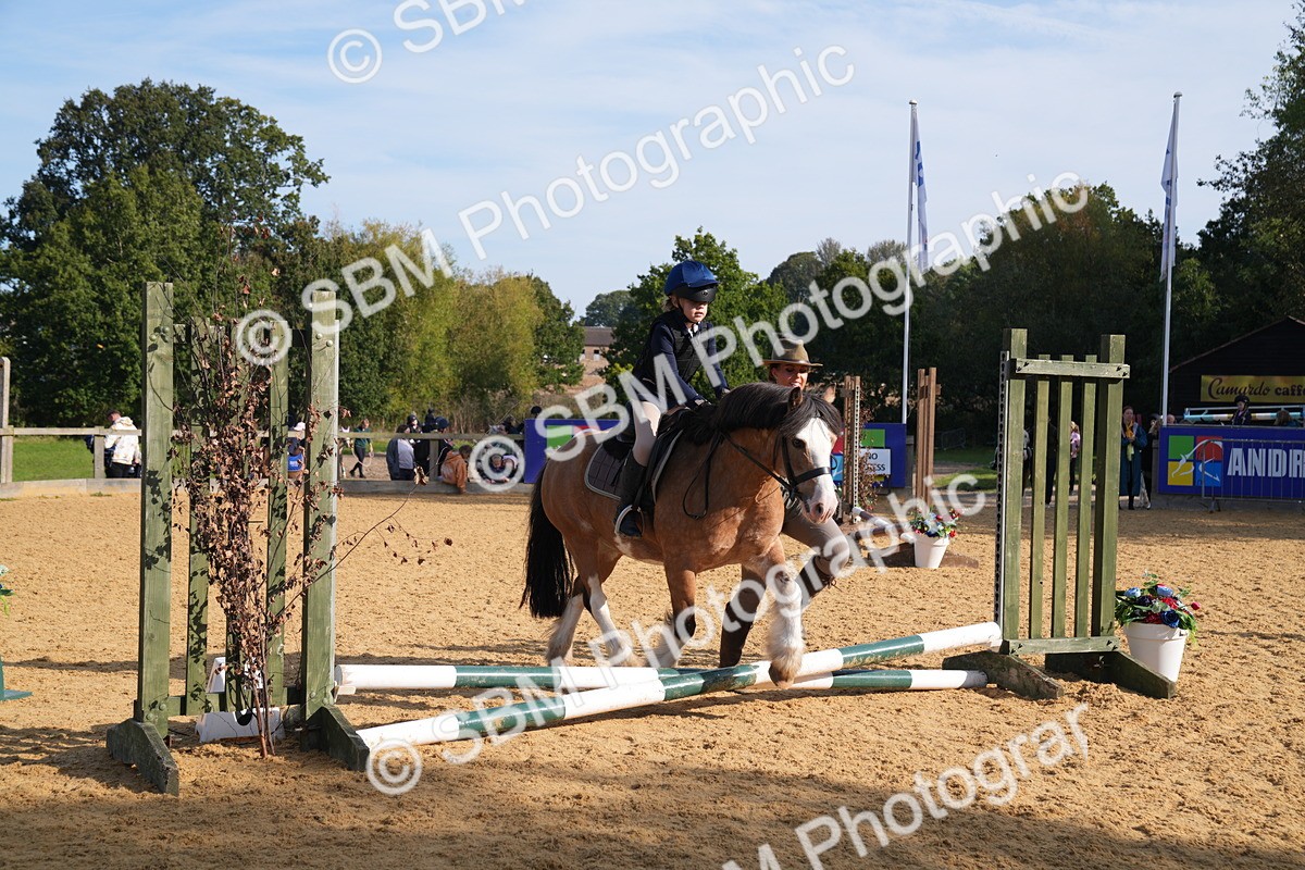 SBM_61328 - J1 - Mini Tour Junior Pony Lead Rein 30cm Championship