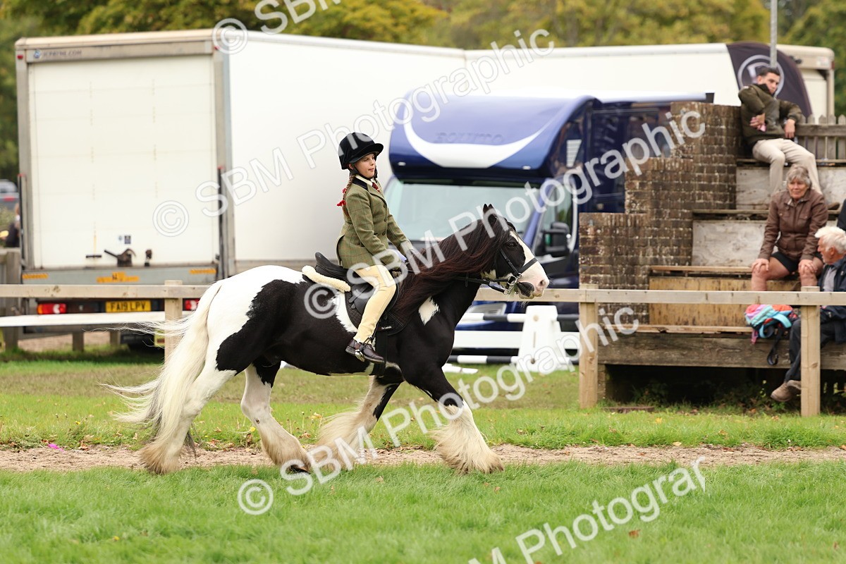 SBM_64566 - S58 - Coloured Pony Ridden