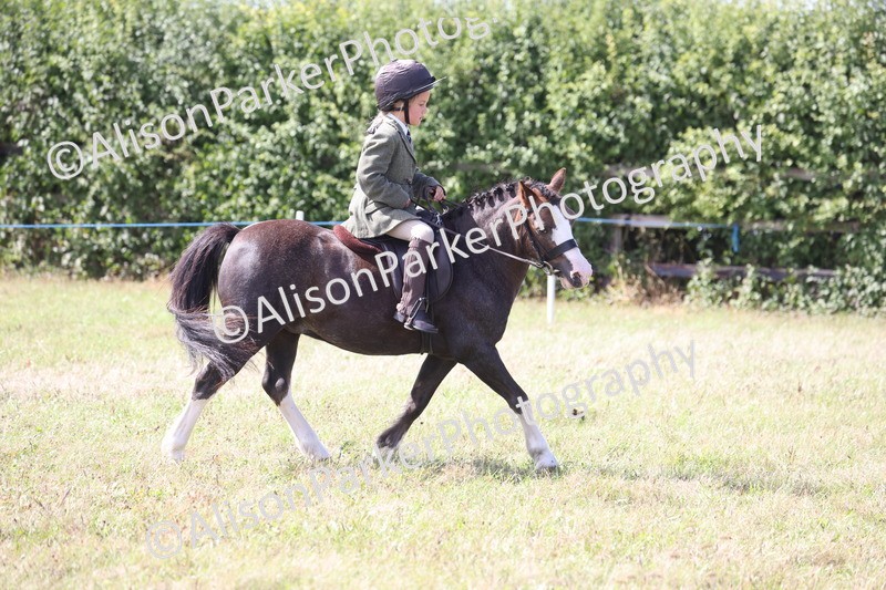 20260906-3083 - Class 18 - Childs First Pony