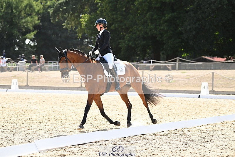 250808A-155601-01955 - 001-Ellen.GloverAmazing.Lady.Texel.MFS