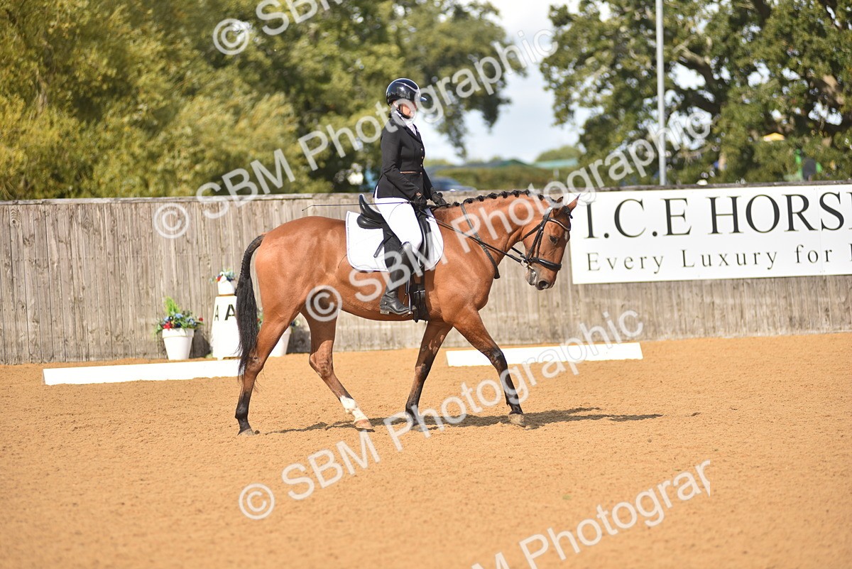 SBM_03068 - D4 - Small Tour Championship Intro 4