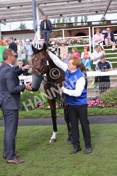 yr19082022r6-55 - Race 6 4.45 pm British Stallion Studs EBF Convivial Maiden Stakes