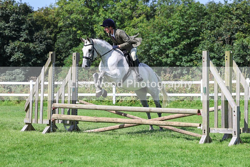 3E7A8573 - Class 5: Working Show Horse